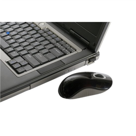 Targus Wireless USB Laptop Blue Trace Souris optique sans fil