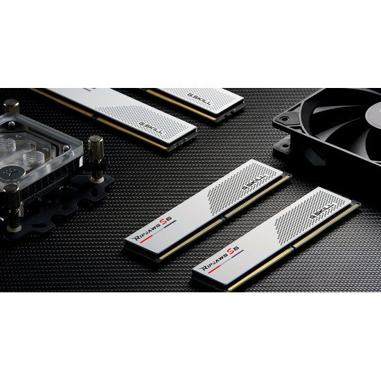 G.Skill Ripjaws F5-6000J3238F16GX2-RS5W module de mémoire 32 Go 2 x 16 Go DDR5 288-pin DIMM