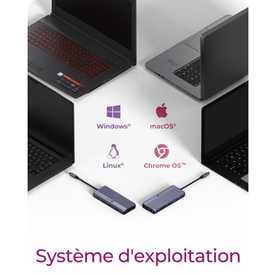 ICY BOX IB-DK4062-CPD Avec fil USB 3.2 Gen 1 (3.1 Gen 1) Type-C Anthracite