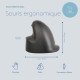 R-Go Tools RGOHBRSWDBL souris Droitier Optique 2400 DPI