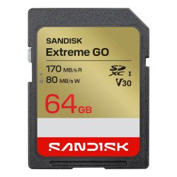 SanDisk Extreme GO 64 Go SDXC UHS-I