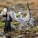 schleich Buckbeak schleich Buckbeak