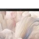DELL Pro 14 Premium PA14250 Copilot+ PC Intel Core Ultra 7 266V Ordinateur portable 35,6 cm (14") Full HD+ 16 Go LPDDR5x-SDRAM 512 Go SSD Wi-Fi 7 (802.11be) Windows 11 Pro Belge Gris DELL Pro 14 Premium PA14250 Copilot+ PC Intel Core Ultra 7 266V Ordinateur portable 35,6 cm (14") Full HD+ 16 Go LPDDR5x-SDRAM 512 Go SSD Wi-Fi 7 (802.11be) Windows 11 Pro Belge Gris