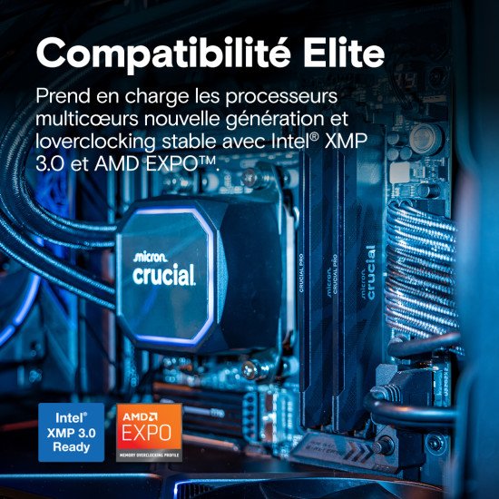 Crucial Pro CP2K16G64C32U5B module de mémoire 32 Go 2 x 16 Go DDR5 6400 MT/s 288-pin DIMM