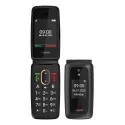 Gigaset GL795 7,11 cm (2.8") 142 g Noir Téléphone pour seniors
