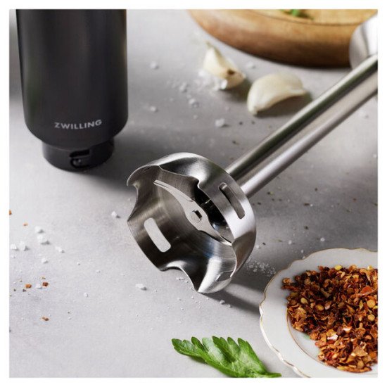 ZWILLING 1030457 mixeur Batteur à main 250 W Noir