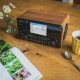 Albrecht DR 866 Portable Numérique Noir, Bois