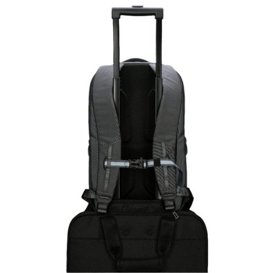 Targus TBB65802GL sacoche d'ordinateurs portables 40,6 cm (16") Sac à dos Gris