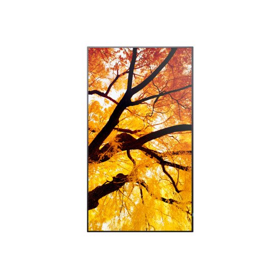 Sharp MultiSync M432 Écran plat de signalisation numérique 108 cm (42.5") LCD 550 cd/m² 4K Ultra HD Noir