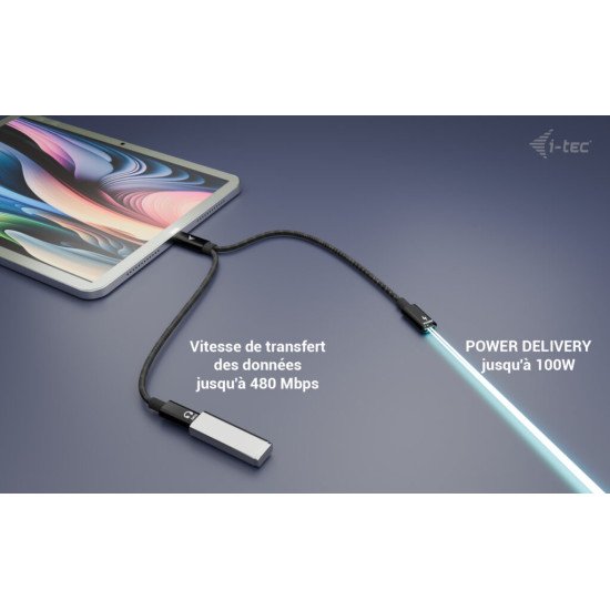 i-tec USB-C Cable Splitter Audio/Data + Power Delivery 100W