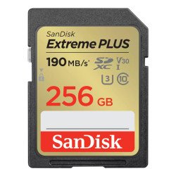 SanDisk SDSDXW2-256G-GNCIN 64 Go SDXC Classe 10