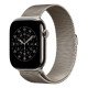 Apple MGJ24ZM/A accessoire intelligent à porter sur soi Bande Naturel Acier inoxydable