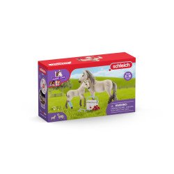 schleich HORSE CLUB Kit de secours d'Hannah schleich HORSE CLUB Kit de secours d'Hannah