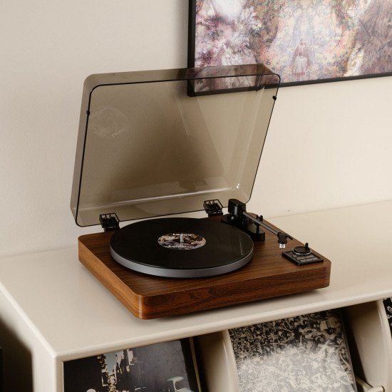 Lenco LBTA-165WD Tourne-disque entraîné par courroie Noir, Bois Automatique