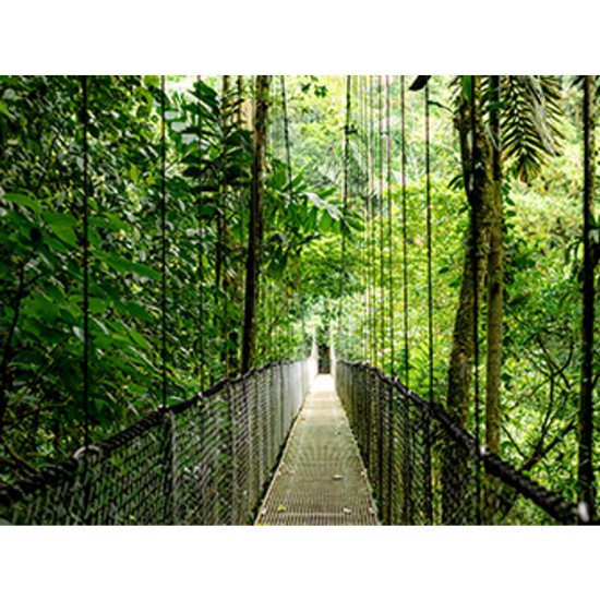 HP EliteBook 6 EB6G1I14 U5 225U 14 16GB/512 PC BE Intel Core Ultra 5 Ordinateur portable 35,6 cm (14") WUXGA 16 Go DDR5-SDRAM 512 Go SSD Wi-Fi 7 (802.11be) Windows 11 Pro AI PC Argent