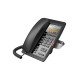 Fanvil H5 téléphone fixe Noir LCD Fanvil H5 téléphone fixe Noir LCD
