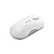 Lenovo 700 Multi-Device WL Silent Mouse souris Bureau Ambidextre RF sans fil + Bluetooth Optique 4000 DPI