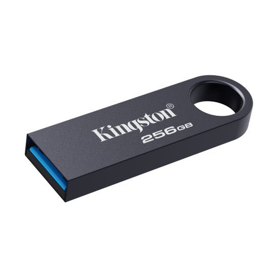 Kingston Technology DataTraveler 256 Go SE9 G3 - Nickel foncé