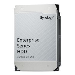 Synology HAS5310-12T disque dur 12 To 7200 tr/min 512 Mo 3.5" SAS3