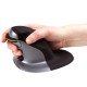 Fellowes Souris verticale ambidextre Penguin – Sans fil - Grand