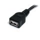 StarTech.com Câble d'Extension Mâle/Femelle USB 2.0 de 1.80m - Prolongateur USB - Rallonge