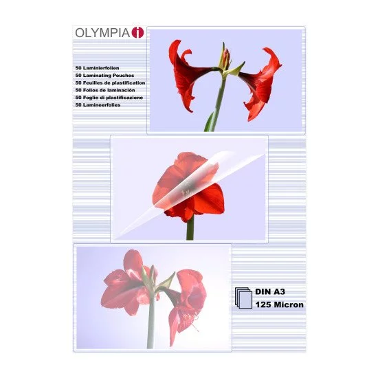 Olympia 1x50 DIN A3 125 micron pochette plastique 50 pièce(s) Olympia 1x50 DIN A3 125 micron pochette plastique 50 pièce(s)