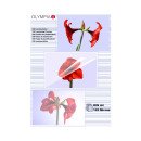 Olympia 1x100 DIN A4 125 micron pochette plastique 100 pièce(s) Olympia 1x100 DIN A4 125 micron pochette plastique 100 pièce(s)