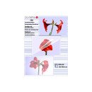 Olympia 1x100 DIN A6 125 micron pochette plastique 100 pièce(s) Olympia 1x100 DIN A6 125 micron pochette plastique 100 pièce(s)