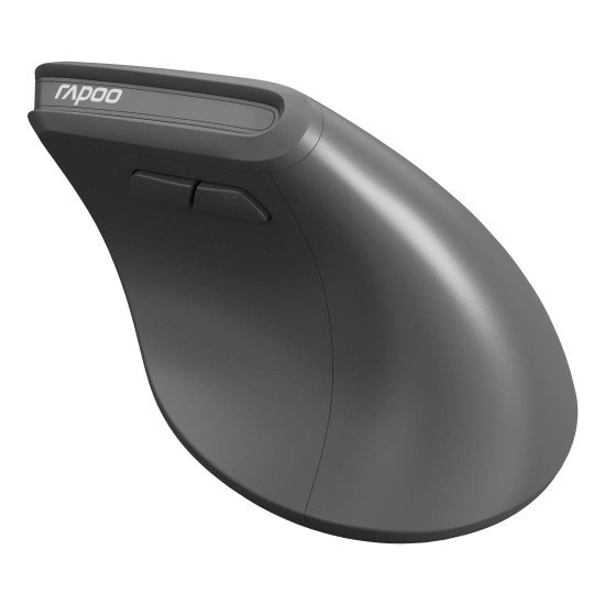 Rapoo EV310M souris Bureau Droitier RF sans fil + Bluetooth Optique 2400 DPI