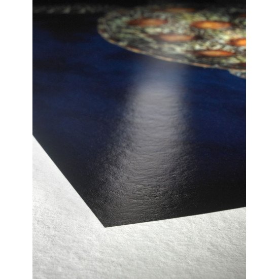 Hahnemühle 10640308 papier photos A4 Blanc Gloss