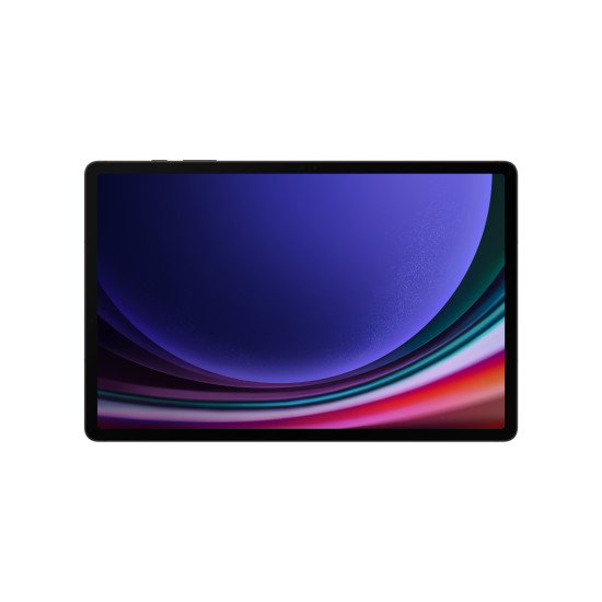Samsung Galaxy Tab S9+ SM-X810 512 Go 31,5 cm (12.4") Qualcomm Snapdragon 12 Go Wi-Fi 6 (802.11ax) Android 13 Graphite