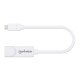 Manhattan Adaptateur USB-C vers Ethernet Gigabit, réseau 10/100/1000 Mbit/s, jusqu'à 2 Gbit/s en duplex intégral, RJ45, blanc, garantie 3 ans, équivalent à US1GC30W