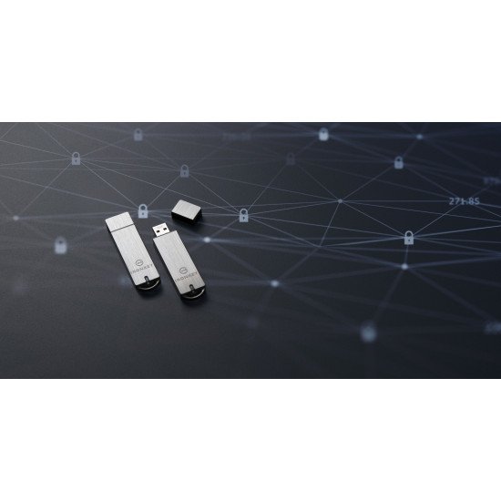 Kingston Technology IronKey 64Go Basic S1000 Encrypted USB 3.0 FIPS 140-2 Level 3