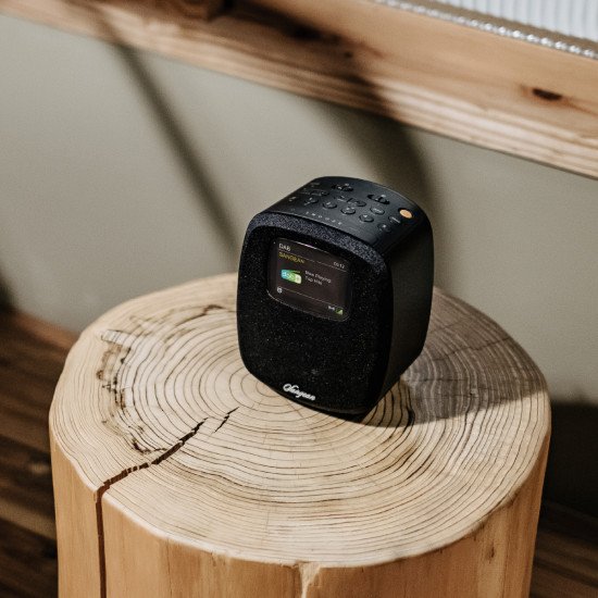 Sangean DCR-83 Personnel Analogique et numérique Noir