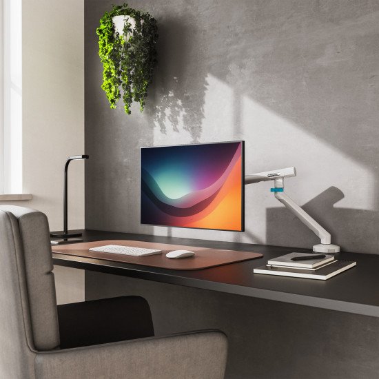 Digitus Support d'écran Single Design, 35", 10 kg