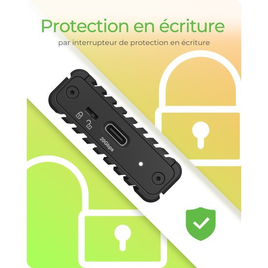 ICY BOX IB-1917M-C32a Enceinte ssd Noir M.2