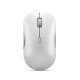 Lenovo 700 Multi-Device WL Silent Mouse souris Bureau Ambidextre RF sans fil + Bluetooth Optique 4000 DPI