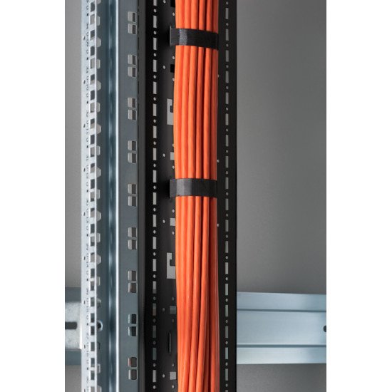 Digitus DN-19-ORG-42U-CT-N-B accessoire de racks Panneau passe câbles