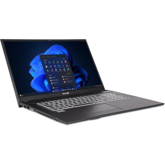 TERRA 1220892 laptop Intel® Core™ i5 i5-1335U 43,9 cm (17.3") Full HD 16 Go DDR5-SDRAM 500 Go SSD Gris