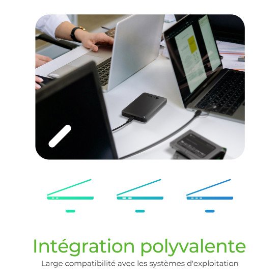 ICY BOX IB-201T-CU31 Enceinte ssd Noir 2.5"