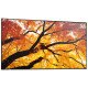 Sharp MultiSync M552 Écran plat de signalisation numérique 139,7 cm (55") LCD 550 cd/m² 4K Ultra HD Noir Écran tactile