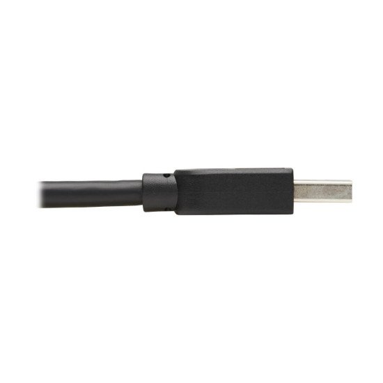 Tripp Lite U325-010 câble USB USB 3.2 Gen 1 (3.1 Gen 1) 3 m USB A 5 Gbit/s Noir