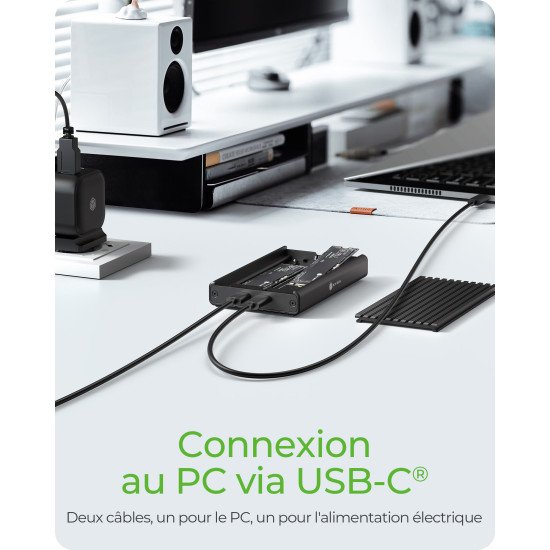 ICY BOX IB-2817M-C32 Enceinte ssd Noir M.2