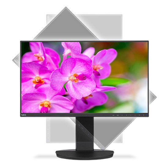 NEC MultiSync EA241F-BK écran PC 24" 1920 x 1080 pixels Full HD LED Noir