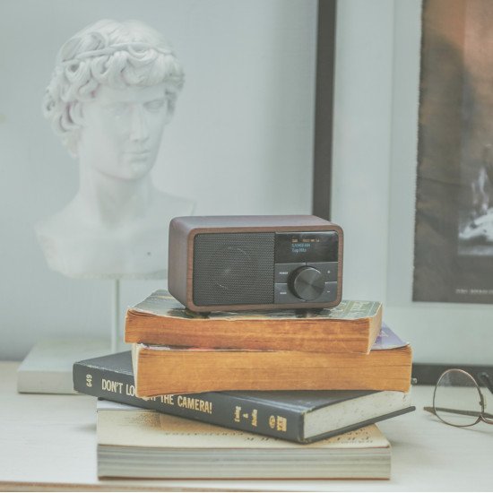 Sangean DDR-7 Personnel Numérique Bois