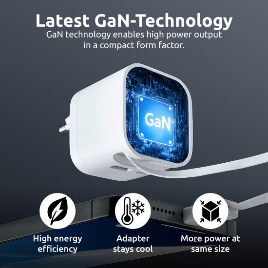 Intenso 7806520 adaptateur de puissance & onduleur Intérieure 65 W Noir