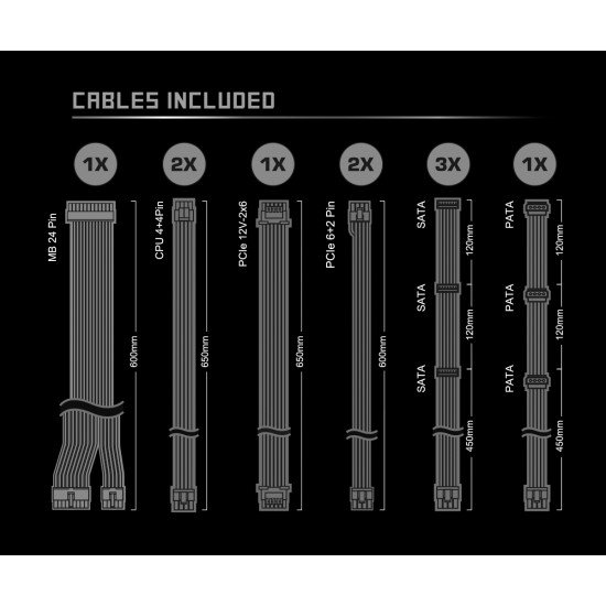 Asrock SL-1000G Steel Legend unité d'alimentation d'énergie 1000 W 20+4 pin ATX ATX Noir
