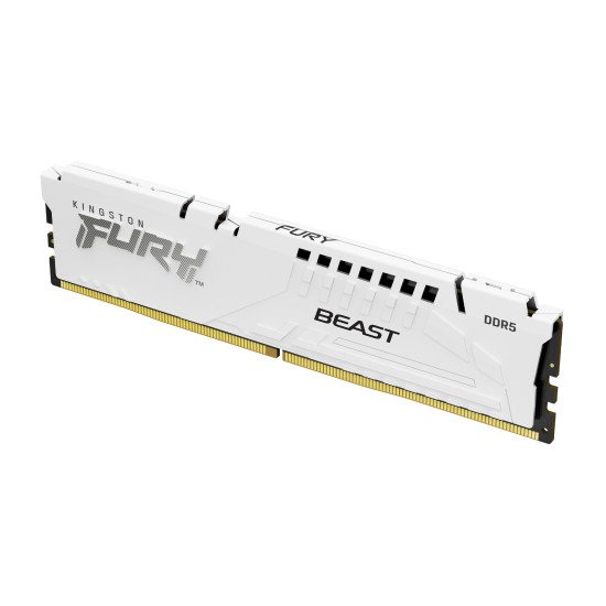 Kingston Technology FURY Beast module de mémoire 32 Go 1 x 32 Go DDR5 5600 MHz