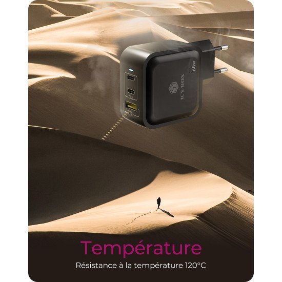 ICY BOX IB-PS1030-PD Universel Noir Secteur Charge rapide Intérieure