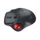 KeySonic KSM-6101RF-EGT souris Droitier RF sans fil 1000 DPI